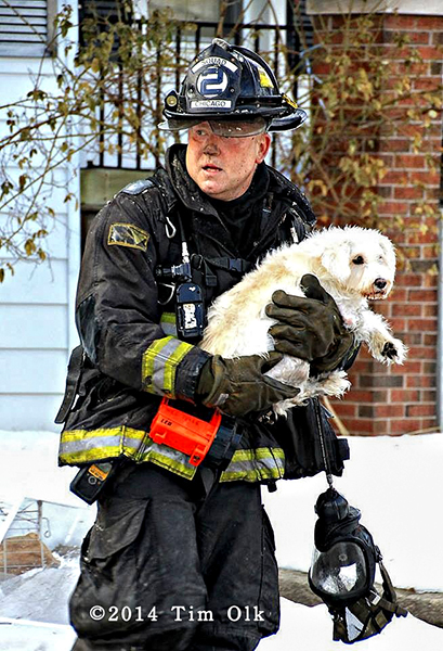 Chicago firefighter rescues dog from house fire