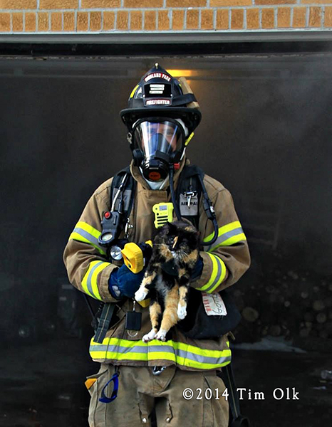 fireman rescues cat from house fire