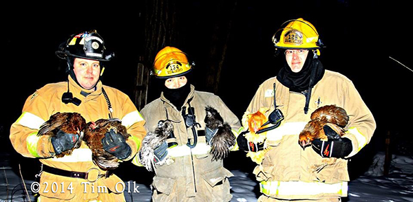 firemen rescue chickens from house fire