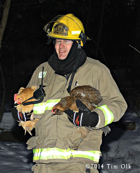 fireman rescues chicken from house fire