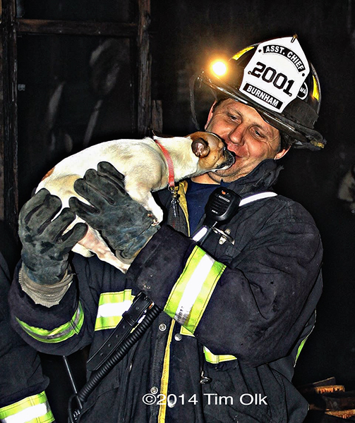 fireman rescues dog from fire 