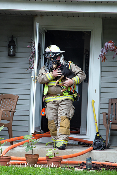 fireman carries dog out of a house