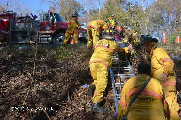 firemen use a ladder to get patient up a ravine
