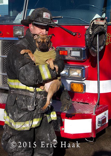 fireman rescues dog