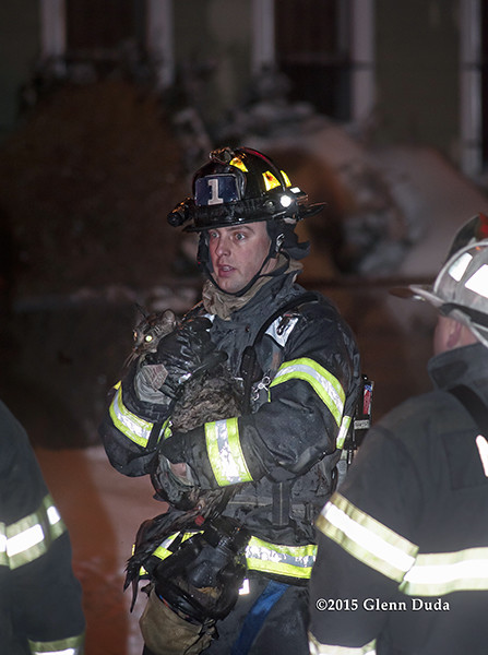 fireman carries family cat from house fire