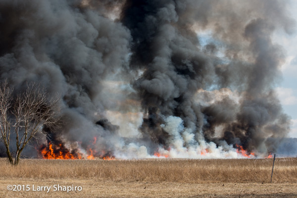 large flames and thick smoke from prescribed prairie burn