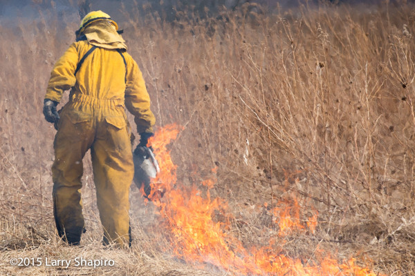 wildland firefighter at prairie burn using a drip torch