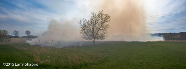 grass fire from flying embers from house fire