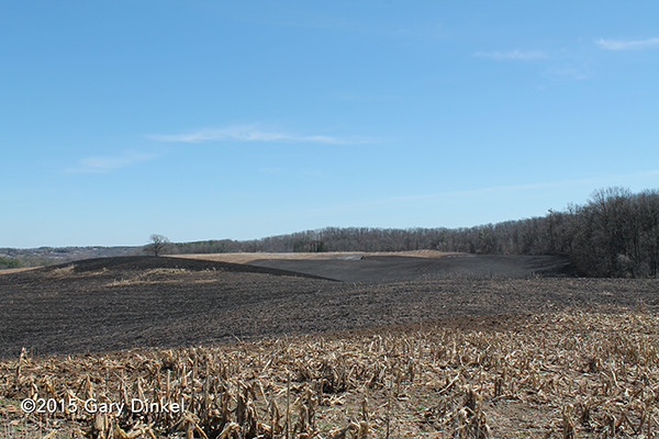 huge field after grass fire