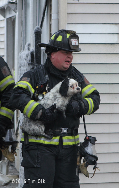 firefighter rescues dog from fire