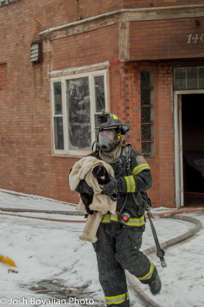 firefighter rescues cat from fire