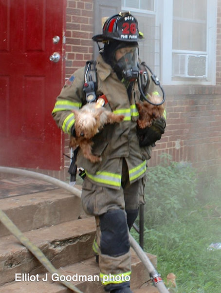 firefighter rescues dog from house fire