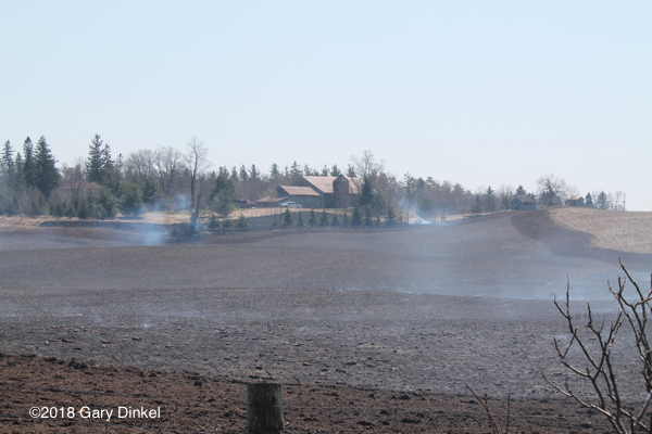 Firefighters fighting a large grass fire in Ontario Canada