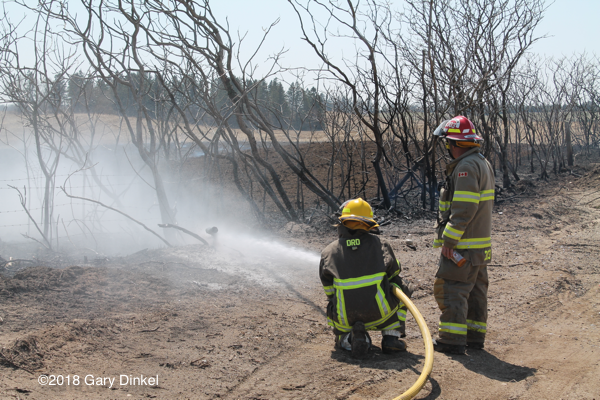 Firefighters fighting a large grass fire in Ontario Canada