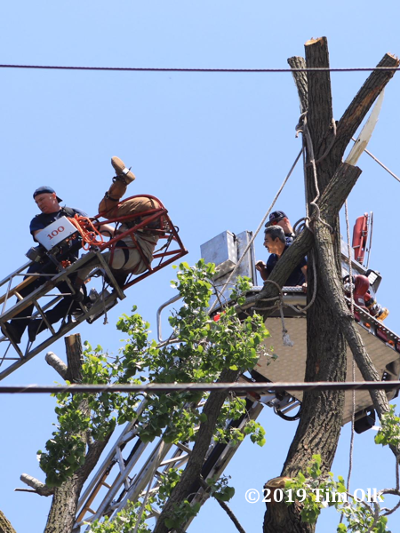 accident leaves tree worker upside down with fractured leg