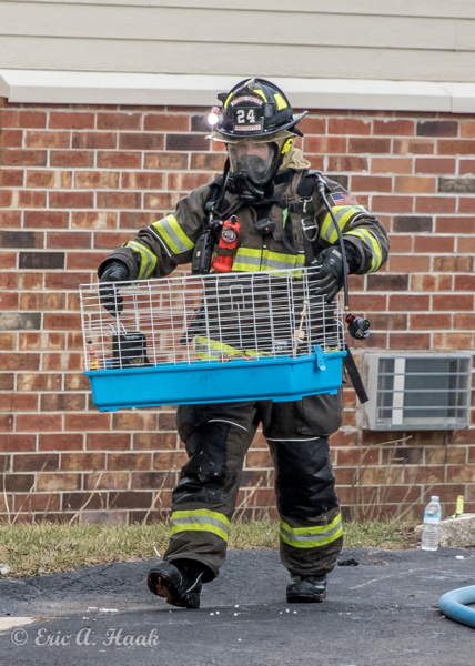 Firefighter carrying pet cage