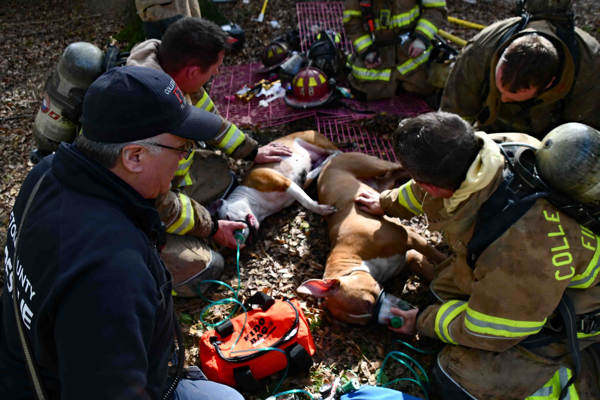 #firescenes.net; #ColletonCountyFR; #firescene; #firefighters; #FidoBag; #dogrescue;